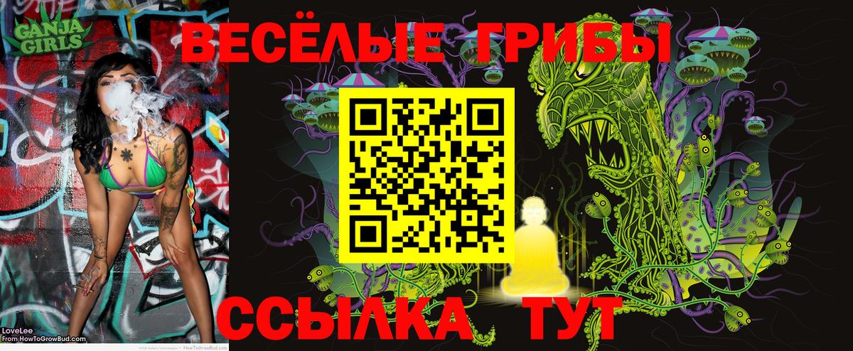 Псилоцибиновые грибы ЛСД Шелехов